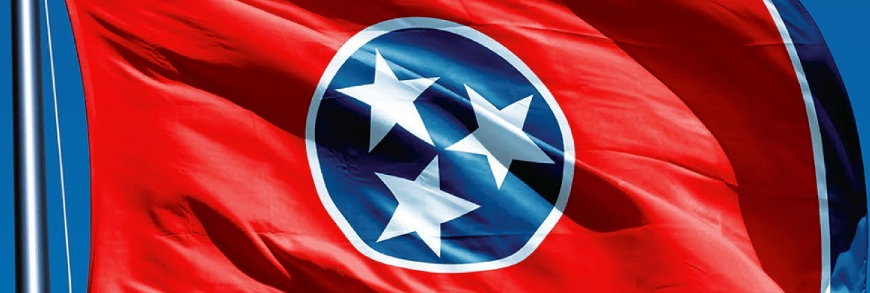 Tennessee Minister Ordination Laws (Image)